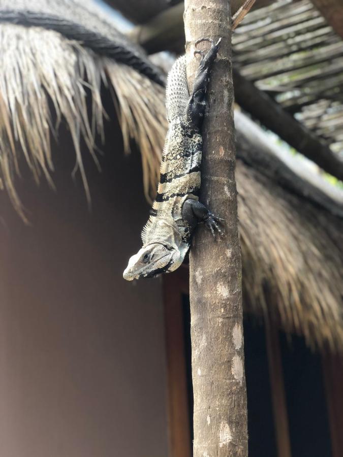 Casa Nalum Villa Tulum Kültér fotó